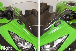 Ninja250/300（'13-）　R&Gレーシング　ミラーブランケットプレート【MBP0014BK】