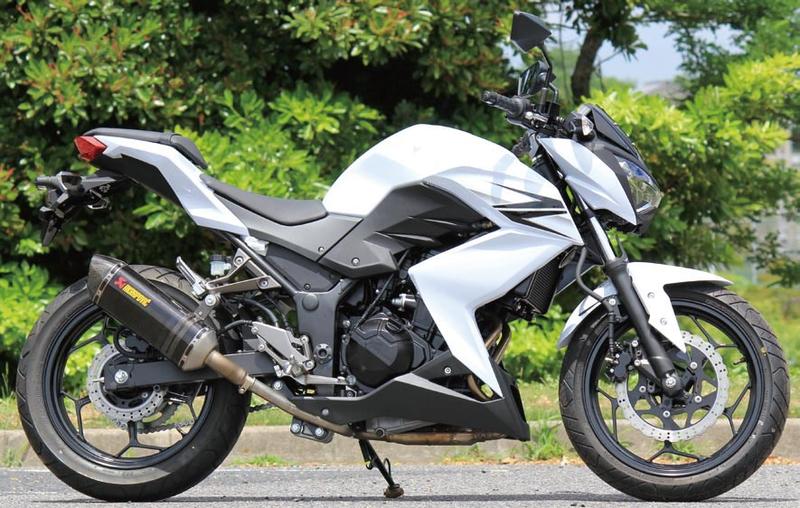 Ninja250/Z250 アクラボヴィッチ スリップオンマフラー/カーボン【S ...