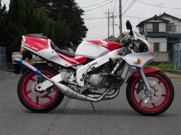DOG FIGHT RACING製 HONDA NSR250R('90-'99) ステンレスチャンバー/アルミサイレンサー 