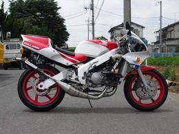 DOG FIGHT RACING製 HONDA NSR250R('90-'99) ステンレスチャンバー/カーボンサイレンサー  
