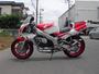DOG FIGHT RACING製 HONDA NSR250R('90-'99) ステンレスチャンバー/カーボンサイレンサー  