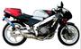 DOG FIGHT RACING製 HONDA NSR250R('88-'89) ステンレスチャンバー/カーボンサイレンサー 