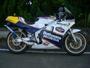 DOG FIGHT RACING製 HONDA NSR250R('88-'89) ステンレスチャンバー/カーボンサイレンサー 