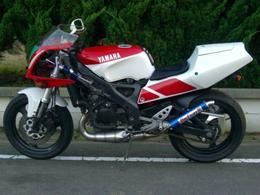 DOG FIGHT RACING製 YAMAHA TZR250R/RS('91-'94) ステンレスチャンバー/カーボンサイレンサー