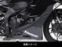 Kawasaki Ninja ZX-25R ACTIVE フレームスライダー（ラウンド）　1133706