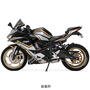 ACTIVE（アクティブ） Kawasaki ZX-25R/SE パフォーマンスダンパー　13691704