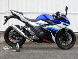 WR'S　SUZUKI GSX250R　SLIP-ON ラウンドステンレスサイレンサー　BF3220JM