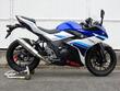 WR'S　SUZUKI GSX250R　SLIP-ON ラウンドステンレスサイレンサー　BF3220JM
