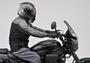 DAYTONA ELIMINATOR SE ウインドシールド SS 42235