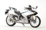 アールズギア CBR250RR('17～)GPスペック スリップオン チタンポリッシュ  GH52-T3ST