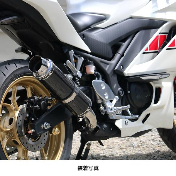 WR’S ダブルアールズ リアエキゾースト スリップオンマフラー サイレンサー：カーボン MT-25 MT-03 YAMAHA ヤマハ  スリップオンマフラー