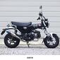 WR'S ダックス125('24-) ショートオーバルフルエキゾーストマフラー（焼き色チタン） LS1195JM
