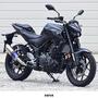 WR'S YZF-R25（’25-）/MT-25（’25-） SS-OVAL スリップオンマフラー（焼き色チタン） SB2280JM