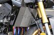アールズギア CB1000 HORNET /SP ラジエターコアガード ラージロゴ シルバー AC00-048H-LS